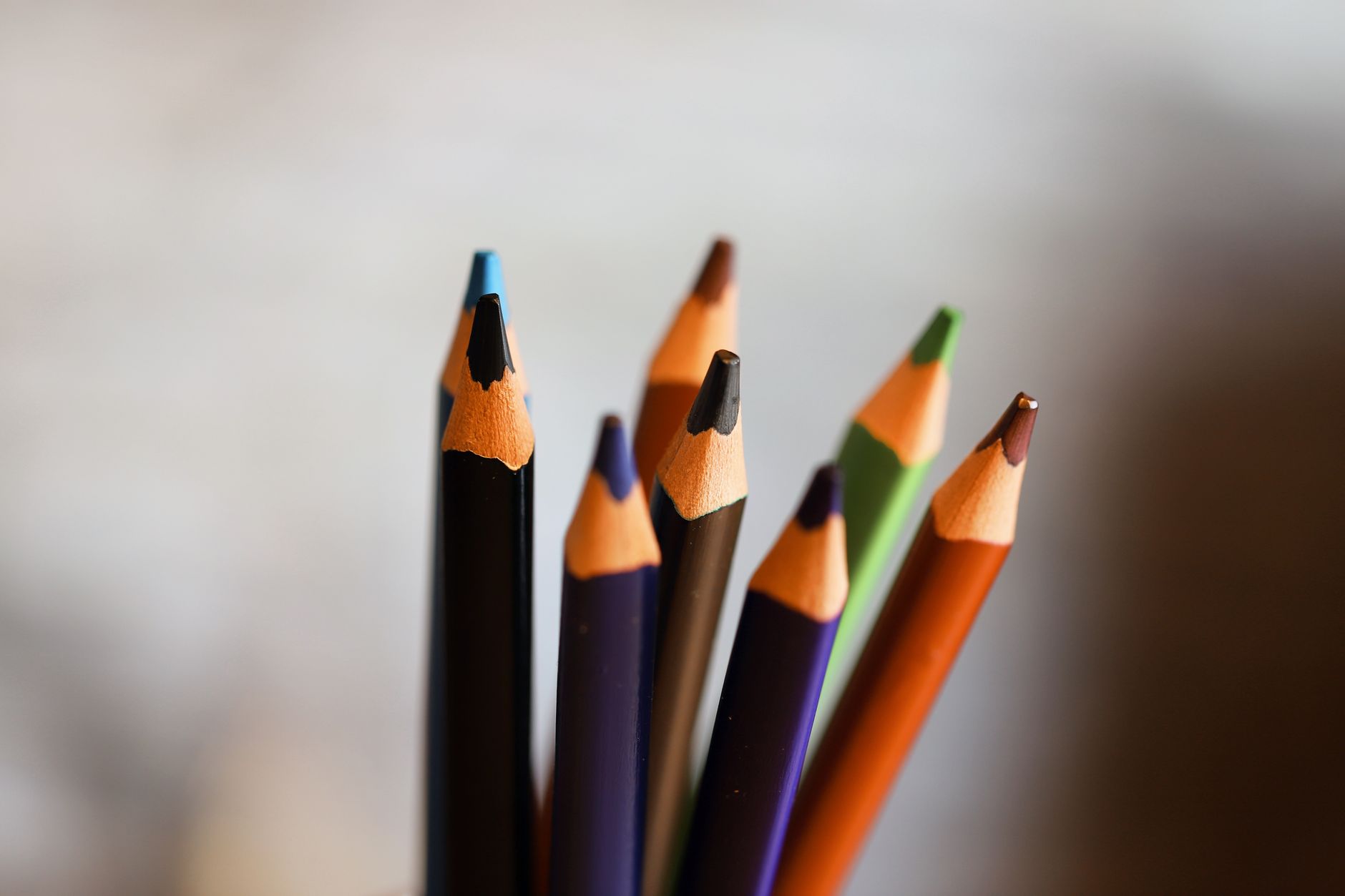 colorful pencils close up on blurred background
