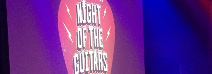 night of the guitars burgdorf logo pic by rockpoint